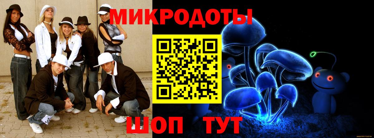 Галлюциногенные грибы Psilocybine cubensis Великие Луки